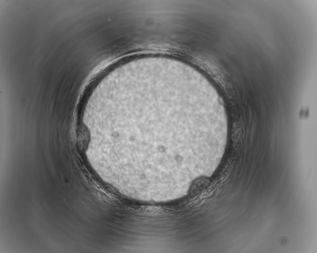 X0000098111172200805021126