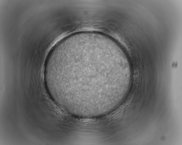 X0000098111173200805021126