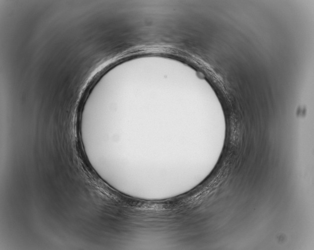 X0000098111174200805021126