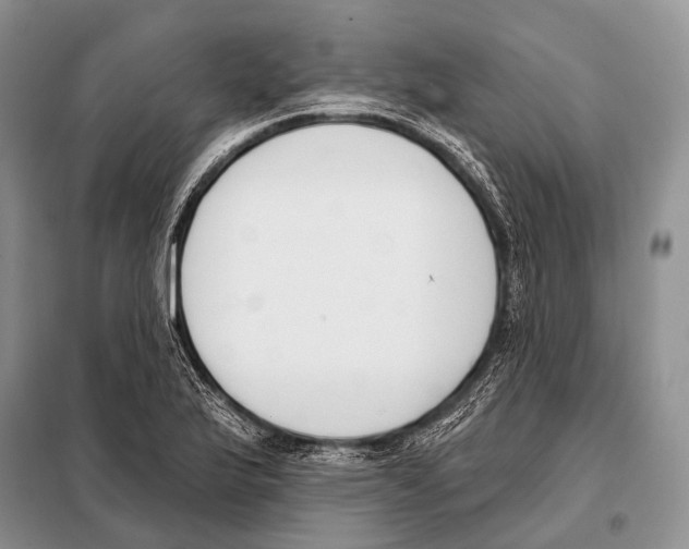 X0000098111175200805021126