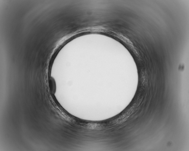 X0000098111176200805021126