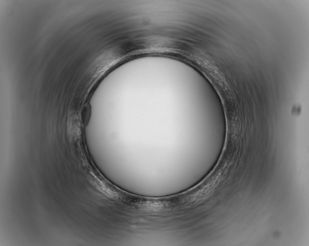 X0000098111177200805021126