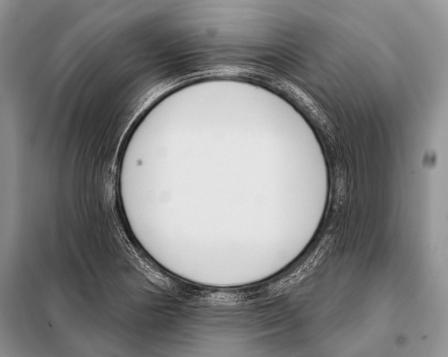 X0000098111178200805021126