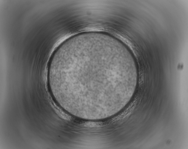 X0000098111179200805021126