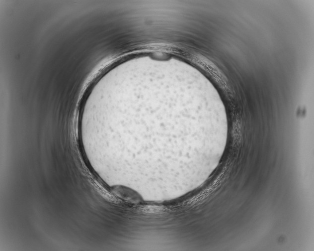 X0000098111180200805021126