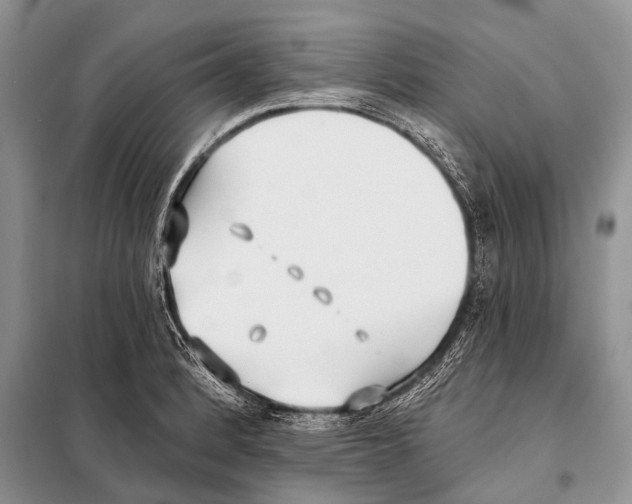 X0000098111184200805021126