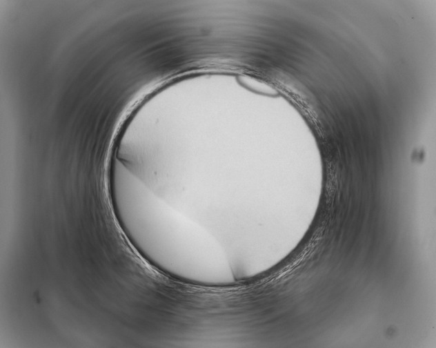 X0000098111188200805021126