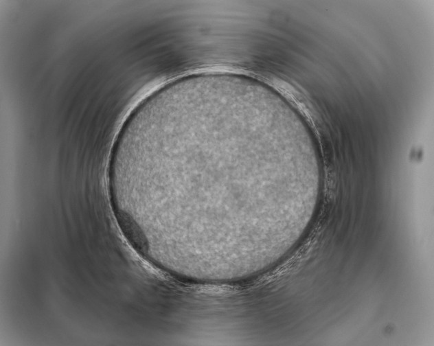 X0000098111189200805021126