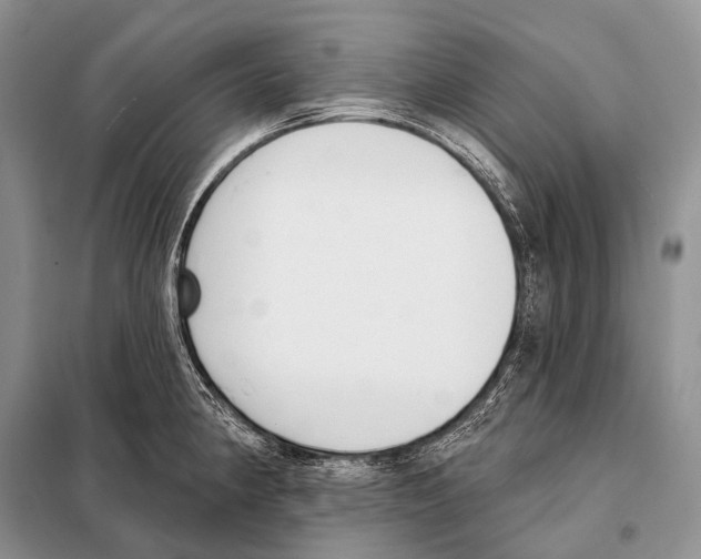 X0000098111190200805021126