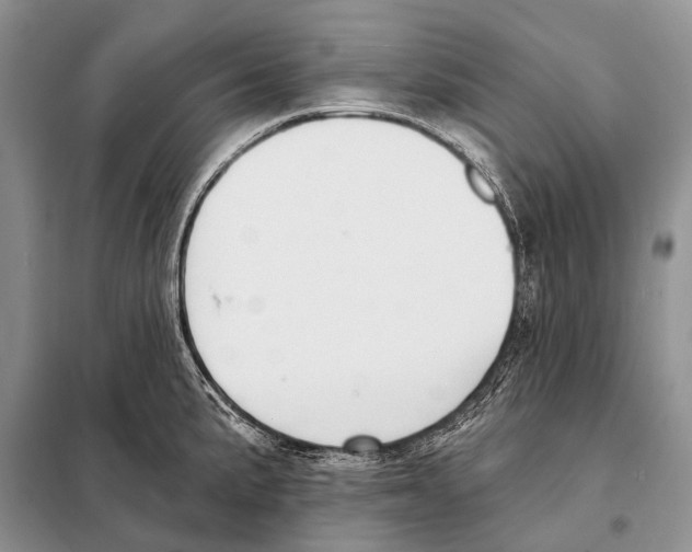 X0000098111191200805021126