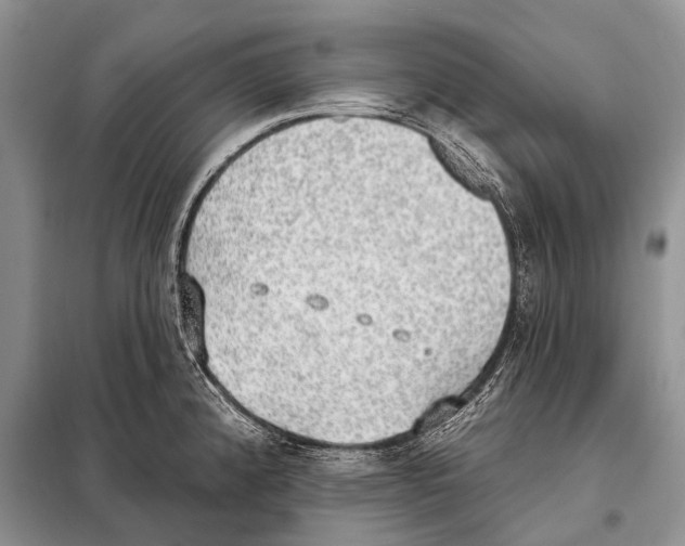 X0000098111192200805021126