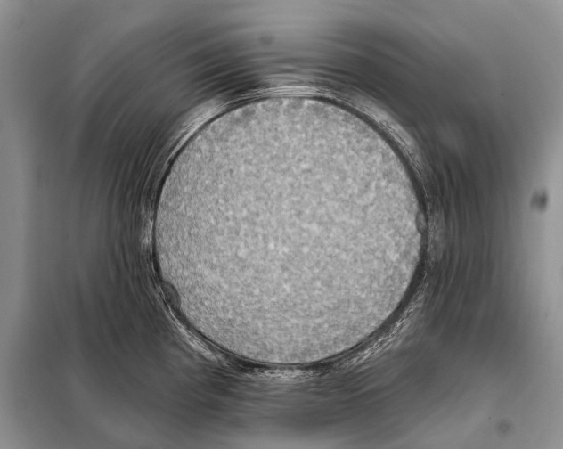 X0000098111193200805021126