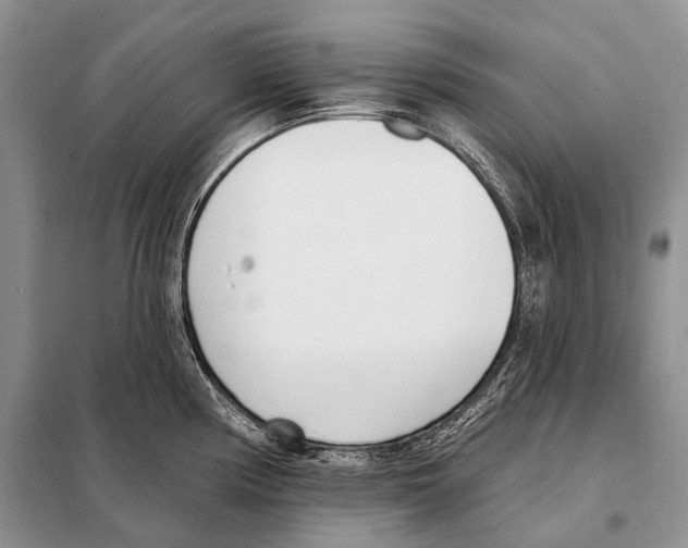 X0000098111194200805021126