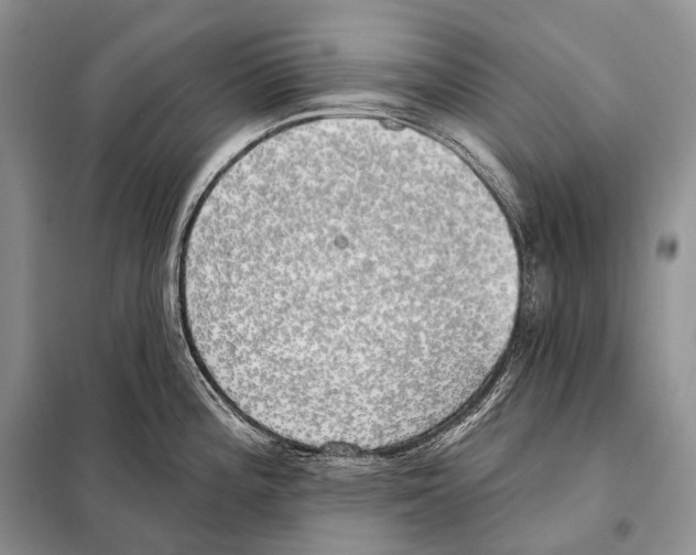 X0000098111196200805021126