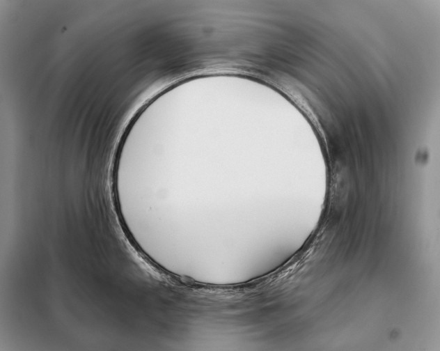 X0000098111197200805021126