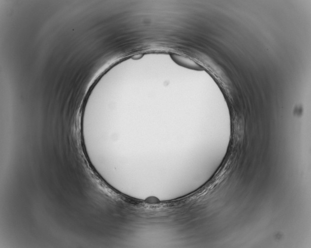 X0000098111198200805021126