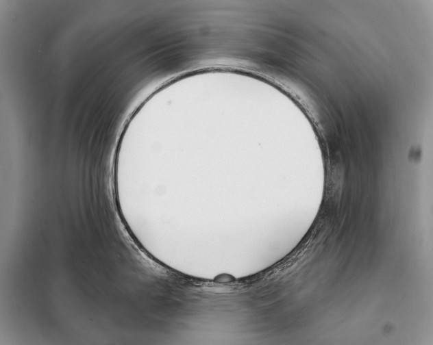 X0000098111199200805021126