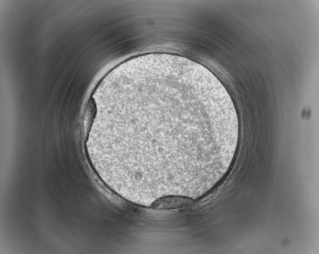 X0000098111200200805021126