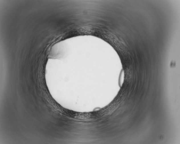 X0000098111201200805021125