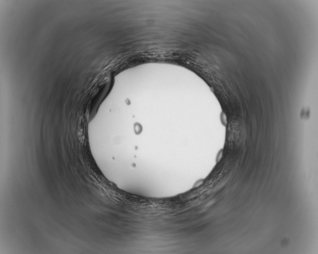 X0000098111202200805021125