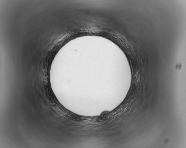 X0000098111205200805021125