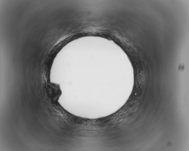 X0000098111206200805021125