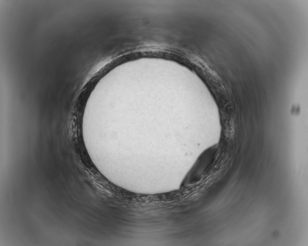 X0000098111208200805021125