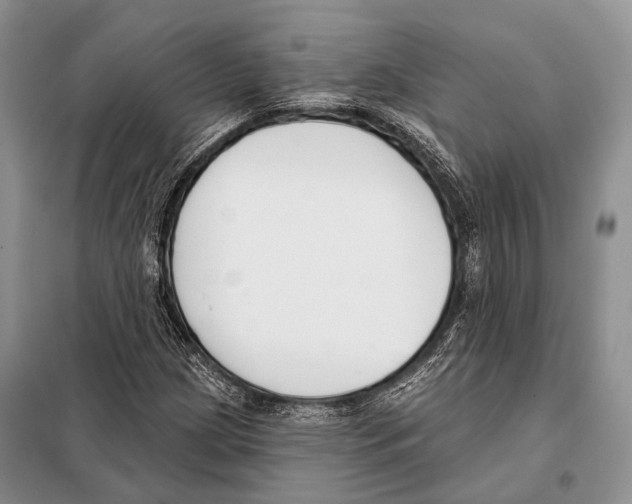 X0000098111209200805021125