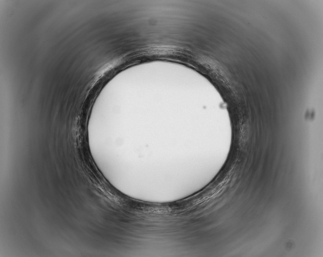 X0000098111210200805021125