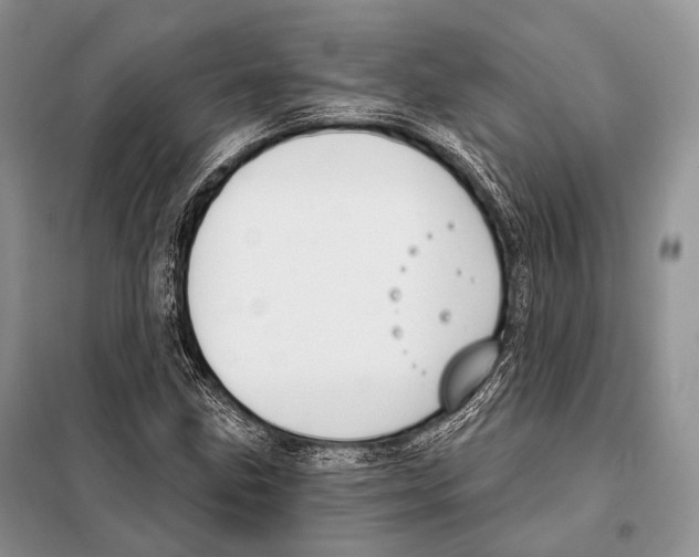 X0000098111211200805021125