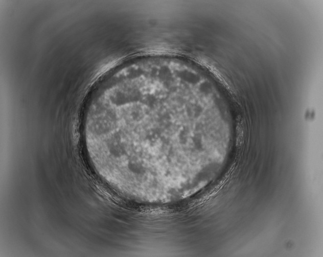 X0000098111213200805021125