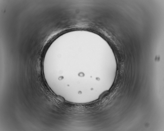 X0000098111214200805021125