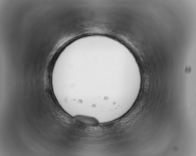 X0000098111215200805021125