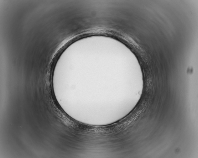 X0000098111216200805021125