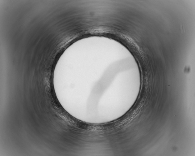 X0000098111217200805021125