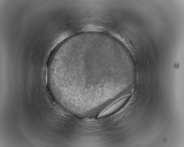 X0000098111219200805021125