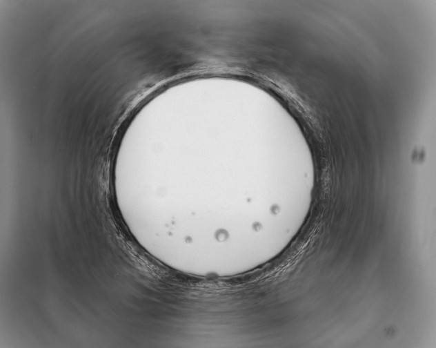 X0000098111220200805021125