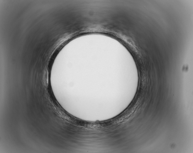 X0000098111221200805021125