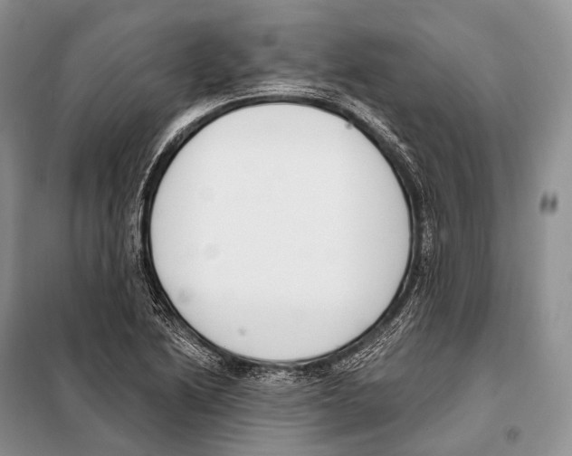 X0000098111222200805021125