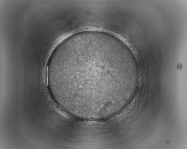 X0000098111223200805021125