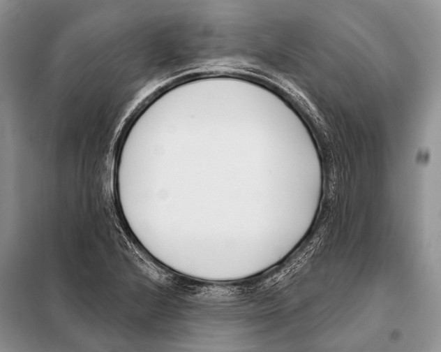 X0000098111224200805021125