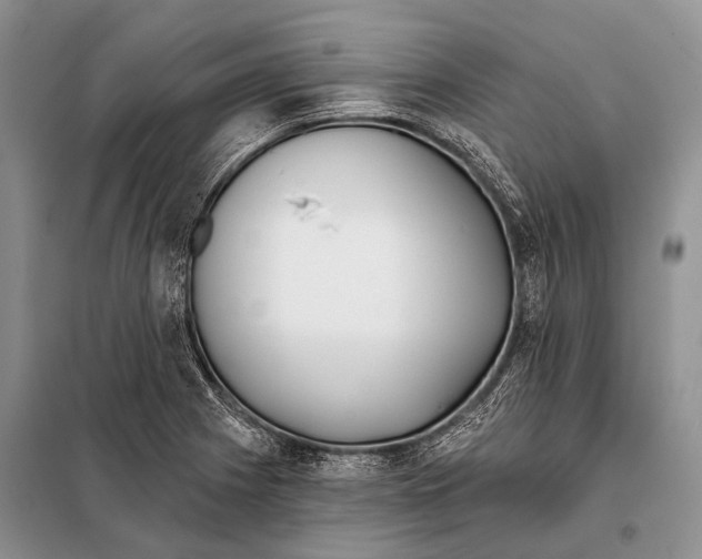 X0000098111225200805021125