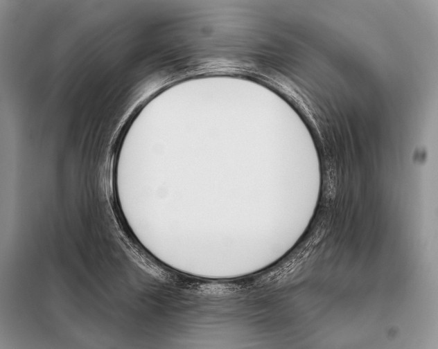 X0000098111227200805021125