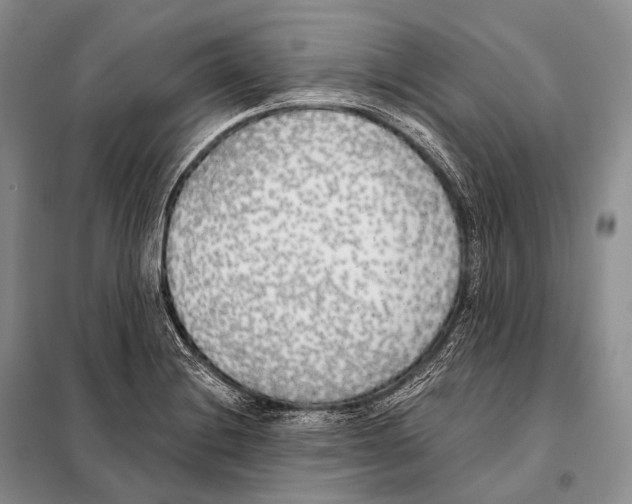 X0000098111228200805021125