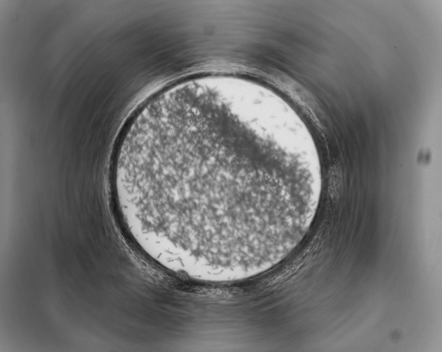 X0000098111229200805021125