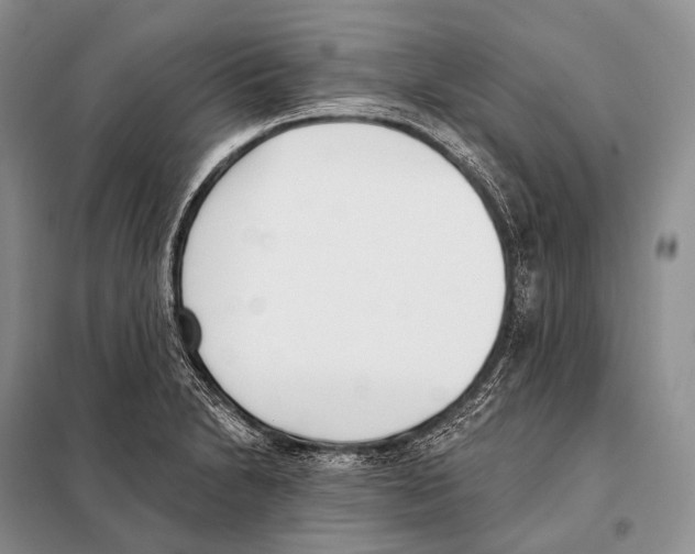 X0000098111230200805021125