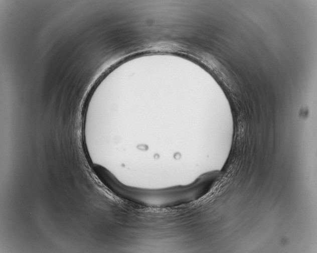 X0000098111232200805021125