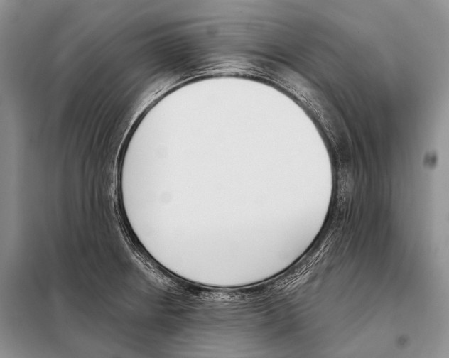 X0000098111234200805021125