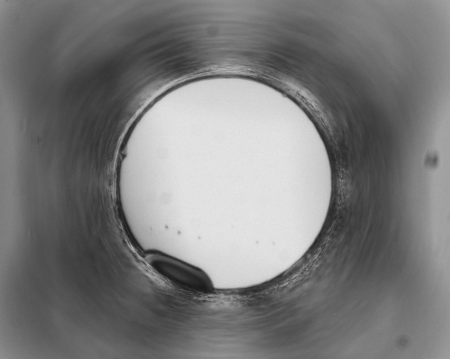 X0000098111236200805021125