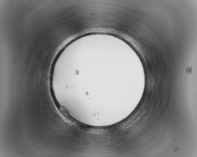 X0000098111237200805021125